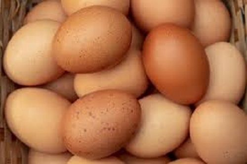 Healthy Fresh And Natural Good Source Of Proteins And Minerals Red Eggs