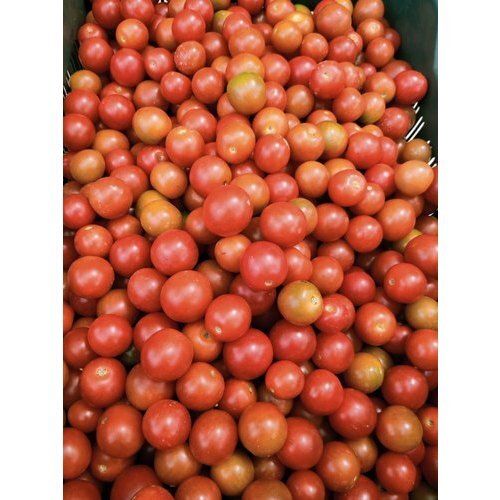 Indian Origin Naturally Grown Antioxidants And Vitamins Enriched Healthy Farm Fresh Cherry Tomato 