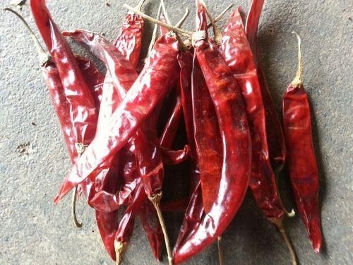 1 किलोग्राम प्राकृतिक और सूखी कच्ची लाल मिर्च का पैक