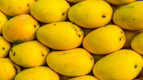 Common Yellow Fresh Good Health Pesticide Free Rich Taste Rich In Vitamin C A Grade Mango