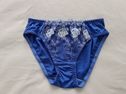Bikni Comfortable Blue Colour Silk Fabric Printed With Laces Net Design  Panties For Woman at Best Price in Bhiwandi