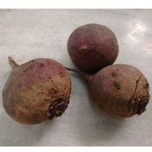 Fresh Indian Origin Naturally Grown Antioxidants And Vitamins Enriched Healthy Natural Fresh Organic Beet Root