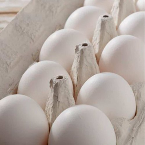 Good Health Farm Fresh Indian Origin Naturally Rich In Protein And Vitamin White Poultry Egg