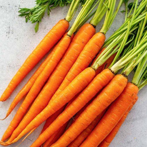 High In Protein And Fiber Rich Vitamin Tasty And Healthy Long Farm Fresh Carrot