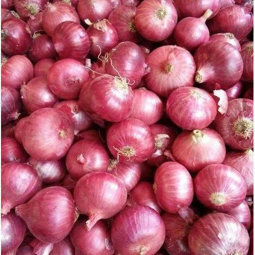 Naturally Grown Farm Fresh Healthy Round Shape Pure Red Onion 