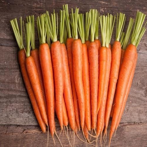 Rich In Fiber And High Protein Calcium Natural Farm A Grade Long Fresh Carrot