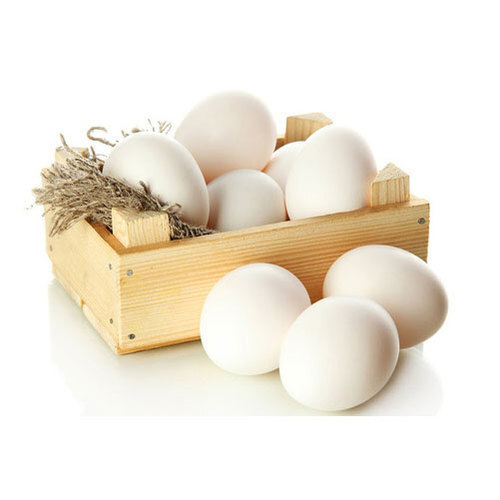Poultry Eggs - Fresh, Oval White Eggs | Rich In Protein, Essential Nutrients & Omega-3 Fatty Acids
