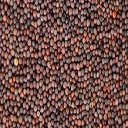 Organic Flavour Added Dried Natural Black Mustard Seeds  Shelf Life: 1 Years