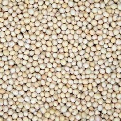 Small Round White Mustard Herb Spices Seeds For Making Medicine 