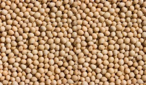 Soyabean/Rapeseed Meal Product