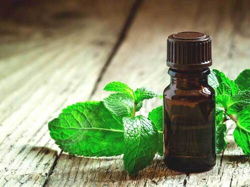 100% Natural And Pure Peppermint Essential Oil, For Flavor And Aromatherapy Age Group: All Age Group