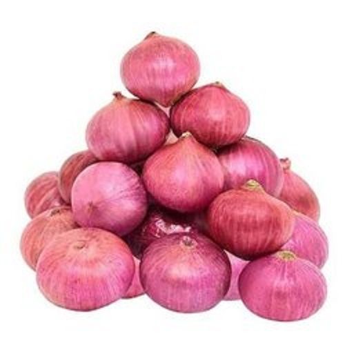 100 Percent Pure Organic Farm Fresh Round Shape A Grade Onion