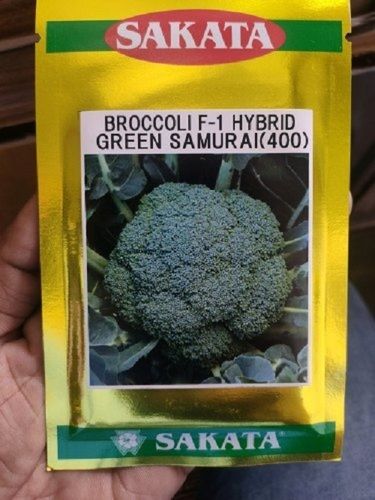 Fresh Healthy And Natural Nutrients Rich Sakata Green Broccoli Seeds