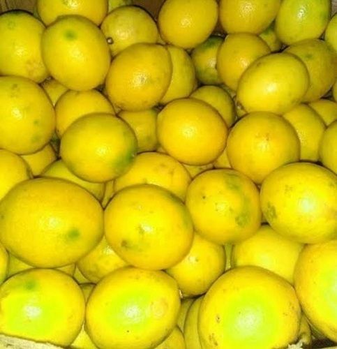 Fresh Highly Nutritious Good Source Of Vitamins And Potassium Yellow Lemon