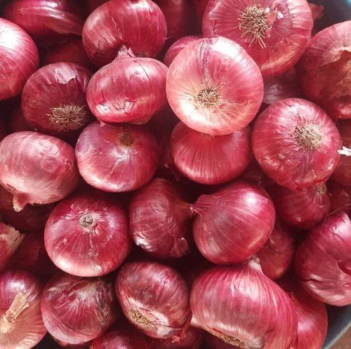 Healthy Farm Fresh Indian Origin Naturally Grown Round Shape Red Onion