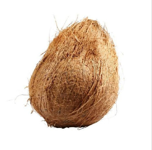 Naturally Grown Healthy Vitamins Minerals Rich Mature A Grade Fresh Semi Husked Coconut