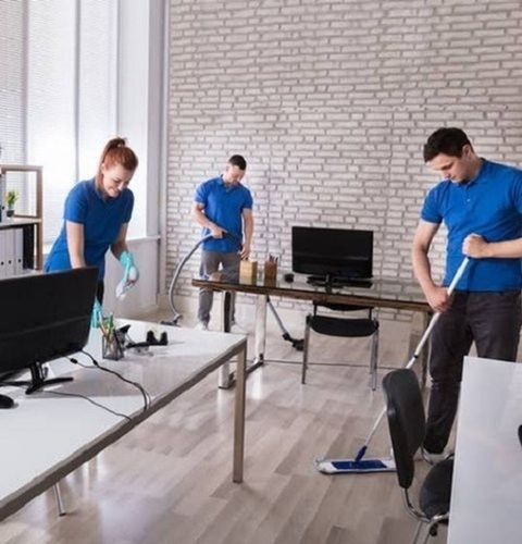 Office Housekeeping Service Age Group: Adult