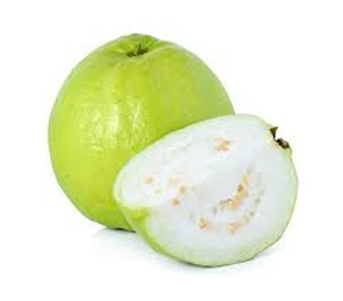 Green Organically Grown Directly From Farm Mildly Sweet Exotic Crunchy Fresh Guava