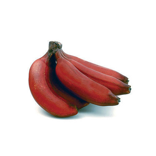 Long Shape Commonly Cultivated Sweet Tasty Medium Size Fresh Red Banana
