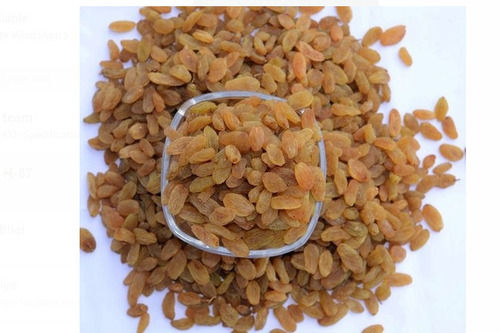 1 Kg Dried Moisture Contain 10-12 % Golden Raisines