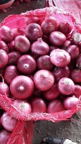 100 Percent Organic Quality Red Color Round Natural Fresh Onion For Cooking, 1 Kg  Moisture (%): 10