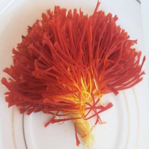 Fresh Saffron