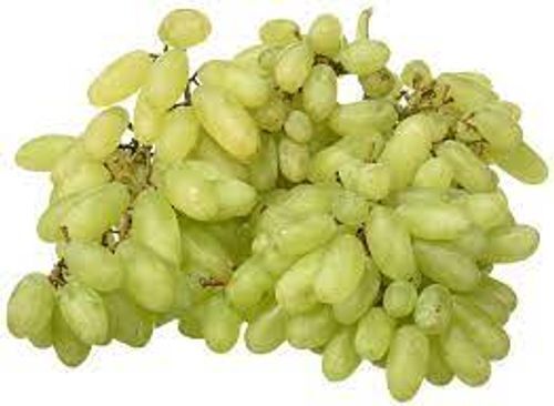 High In Vitamins Minerals Antioxidants Delectable Sweet Tasty Juicy Grapes