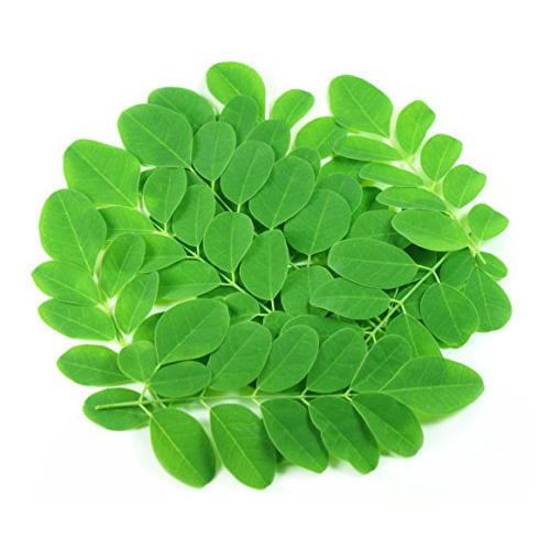 Very Healthy And Rich In Vitamins Naturaly Grown Fresh Moringa Leaves Grade: A