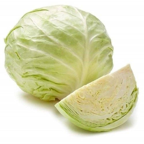 100 Percent Organic Green Color Fresh And Natural A Grade Cabbage, 1 Kg Moisture (%): 10