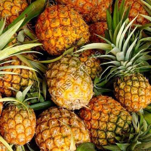 Antioxidants Chemical Free Juicy Rich Delicious Taste Healthy Fresh Pineapple