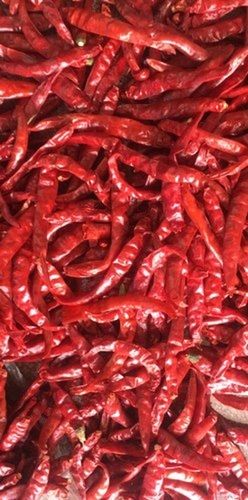 Solid A Grade Healthy Farm Fresh Naturally Grown Vitamins Rich Red Chilli