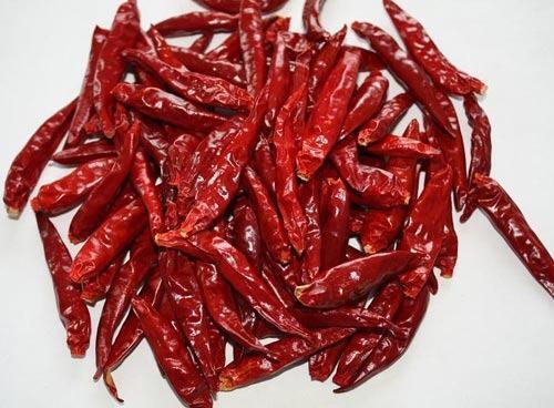 Indian Origin Naturally Grown Hot Spicy Tasty Dried Red Chilli