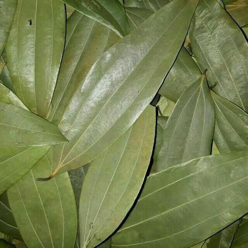 Natural Dry Chemical Free Spices Dried Bay Leaves