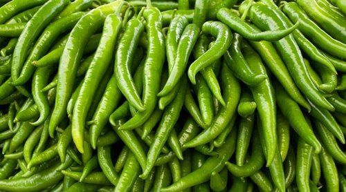 Naturally Grown Antioxidants And Vitamins Enriched Healthy Farm Fresh Green Chilli