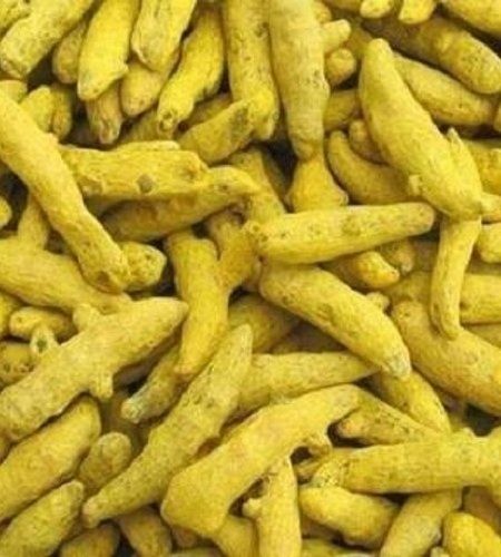 Pack Of 1 Kilogram 100% Pure Dried Common Cultivated Turmeric Finger