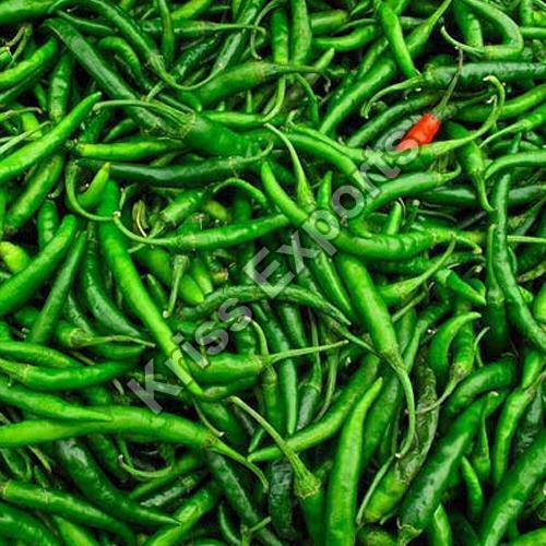 Spicy Natural Taste Chemical Free No Artificial Color Organic Fresh Green Chilli