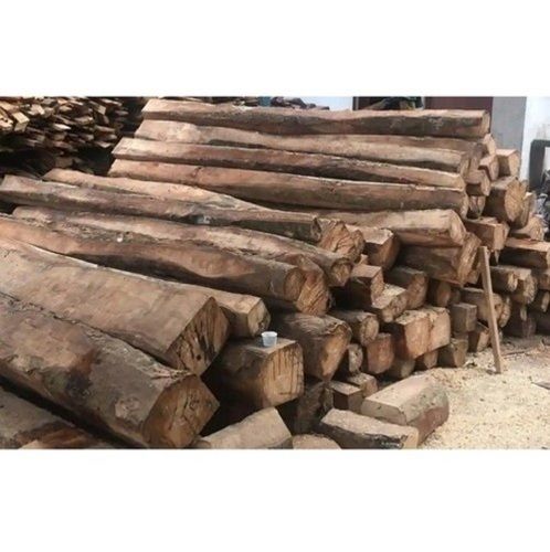 Teak Wood Log