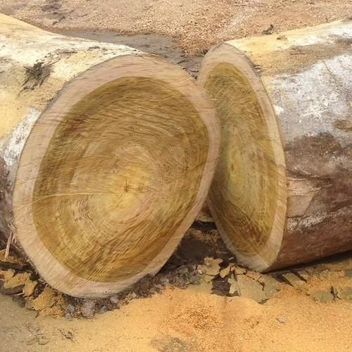 Stainless Steel Teak Wood Logs With Long Lasting Heavy Duty Termite And Water Resistance