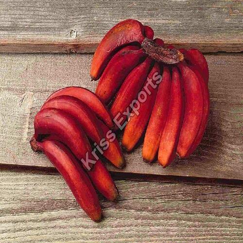 Absolutely Delicious Rich Natural Taste Chemical Free Healthy Organic Red Fresh Banana
