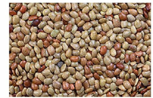 Common Packaging Size: 500 G Packets, Basil Spices Brown Horse Gram Food Grains 