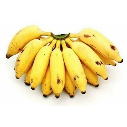 Common Natural Fram Fresh Small Size Yellow Healthy Karpooravalli Banana