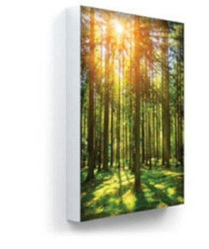 Glass Square Shape Modern Stylish Forest And Trees Canvas Photo Print Wooden Frames