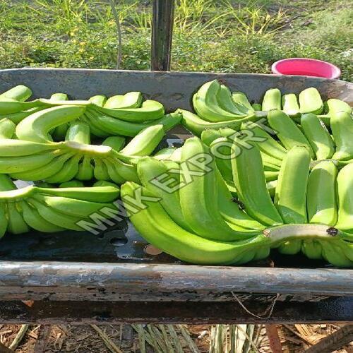 Absolutely Delicious Rich Natural Taste Chemical Free Healthy Organic Green Fresh Banana Origin: India