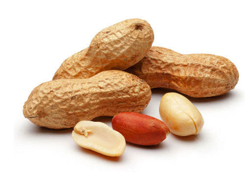 Delicious Healthy Indian Origin Naturally Grown Protein Rich Tasty Groundnut Seed