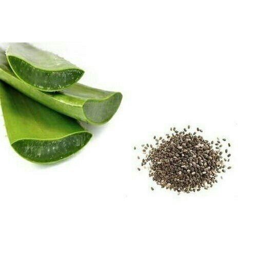 Brown Green Aloe Vera Seeds