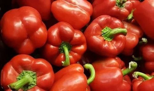 1 Kilogram Pack Of Red A Grade Fresh Capsicum For Cooking