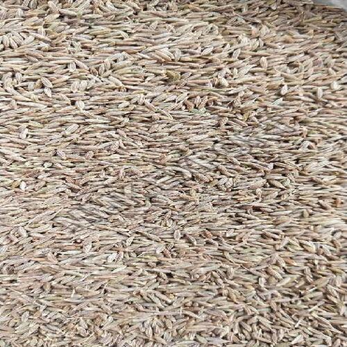 Aromatic Healthy Natural Rich Taste Chemical Free Dried Brown Cumin Seeds