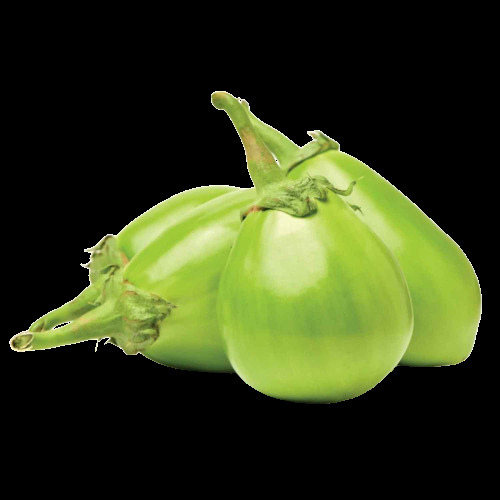 गोल ए ग्रेड भारतीय मूल के प्राकृतिक रूप से उगाए गए एंटीऑक्सिडेंट और विटामिन से भरपूर स्वस्थ प्राकृतिक ताजा हरा बैंगन