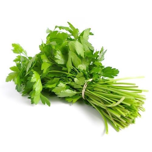 A Grade Indian Origin Naturally Grown Antioxidants And Vitamins Enriched Healthy Natural Fresh Aromatic Green Coriander Leaves Shelf Life: 3 Days