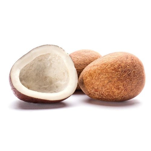 Common Naturally Grown Farm Fresh Healthy Vitamins Minerals And Antioxidants Enriched Fresh Brown Dry Coconut